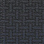 naval academy midshipmen