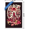 Trends International Rick And Morty - Anatomy Park Framed Wall Poster Prints - 3 of 4