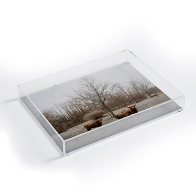 Chelsea Victoria Highland Cows Small Acrylic Tray - Deny Designs