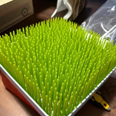 How shops to clean grass bottle drying rack