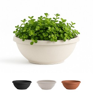 Bloem Terra 12" Diameter Resin Planter Bowl with Optional Knockout Drainage for Indoor and Outdoor Gardening - 1 of 3