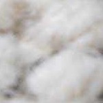 medium gray, off white