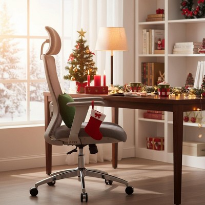 Homy Casa Ergonomic Mesh Executive Office Chair with Adjustable Headrest, 120° Recline and 360° Swivel Chrome Base, Gray