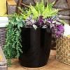 Sunnydaze Indoor/Outdoor Captivating Vista Decorative Glazed Ceramic Planter for Greenery or Flowers - 14" - 4 of 4