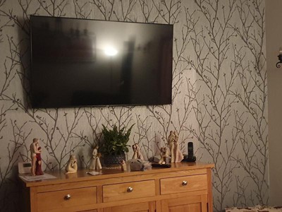 Guest review image 1 of 1, zoom in
