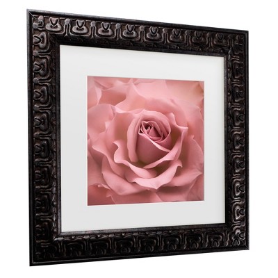 Misty Rose Pink Rose Framed Canvas Print