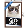 Trends International Grumpy Cat - Go Away Framed Wall Poster Prints - 3 of 4