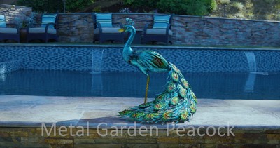 Northlight 23.5 Regal Peacock with Closed Tail Feathers Christmas  Decoration