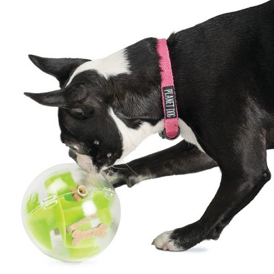 Green Transparent Interactive Dog Treat Puzzle Ball