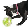 Planet Dog Orbee-Tuff Mazee Interactive Puzzle Ball Dog Toy - Green - 3 of 4