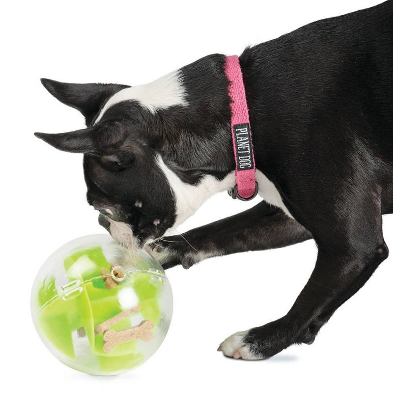 Planet Dog Orbee-Tuff Mazee Interactive Puzzle Ball Dog Toy - Green, 3 of 5