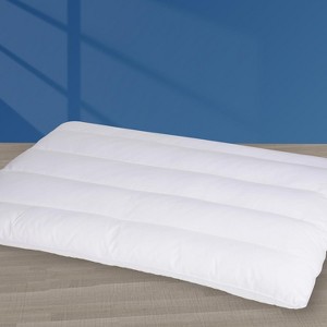 Aghana Digitals Ultra Flat Thin Pillows for Stomach Sleepers, Standard Size - 1 of 4