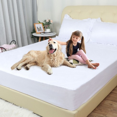 Akicia Waterproof Mattress Protector Twin Size, Bed Wetting Potty Training  Cover for Kids, Single White Fitted Water Proof Pee Protective Dog Sheet