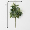 Sullivans Artificial Israeli Ruscus Stem 18.5"H Green - 3 of 3