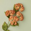 25" Orange Sedum Artificial Stem - Hearth & Hand™ with Magnolia - 3 of 3