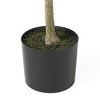 Syemin Artificial Plants Artificial Olive Tree Realistic Olive Branch Detail Rich Green Foliage Low Care for Living Room, Green, 49.5"*7"*7" - 4 of 4
