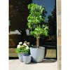 Rosemead Home & Garden, Inc. Set of 3 Lightweight Concrete/Fiberglass Outdoor Planters Slate Gray - 3 of 4