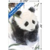 Trends International Animals - Panda in the Snow Unframed Wall Poster Prints - 3 of 4