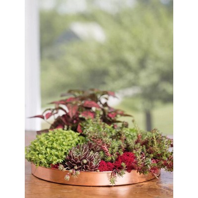 Gardener's Supply Company Large Round Copper Plant Tray | 14 inches, For Decorative Indoor Plant Flower Succulent Display