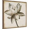 Amanti Art 30"x30" Sepia Lotus Blossom I by Patricia Pinto Framed Canvas Wall Art Print: Modern Decor, Polystyrene Frame - 2 of 4