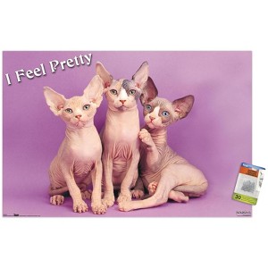 Trends International Keith Kimberlin - Kittens - Pretty Kitty Unframed Wall Poster Prints - 1 of 4