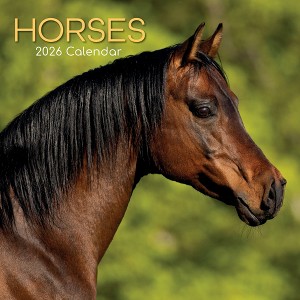 2026 Square Wall Calendar, Horses, 16-Month Animals Theme with 180 Reminder Stickers (12x12 In) - 1 of 4