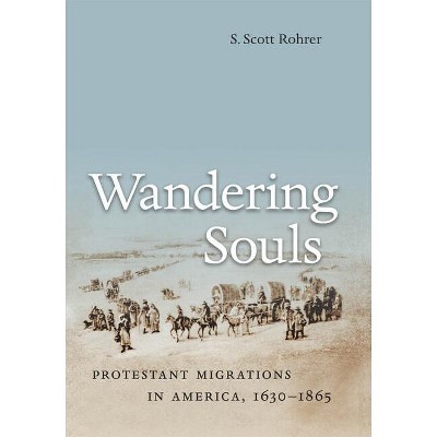 Wandering Souls - by  S Scott Rohrer (Paperback)