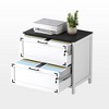 Farmhouse Filing Cabinets with 2 Drawers, 30" File Cabinets with Hanging File Folders for A4/Letter/Legal Size Documents, Office Storage Cabinet - 2 of 4