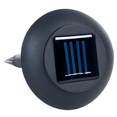 Solar-Powered Black Plastic LED Pathway Lights - Set of 8