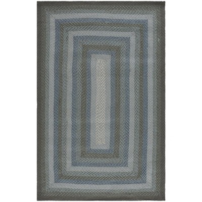 Braided BRD652 Flat Weave Rug - Safavieh