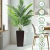 Dexmalle 22-Inch High Faux Rattan Design Flower Pot with Automatic Watering System for Porch - 4 of 4