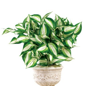 Collections Etc Hosta Bushes Picks - Set of 3 - 1 of 4