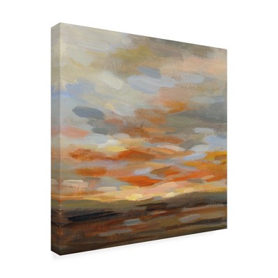 Trademark Fine Art -Silvia Vassileva 'High Desert Sky II' Canvas Art