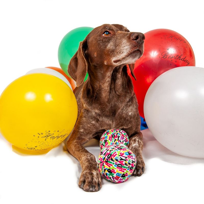 Midlee Plush Birthday Balls Dog Toy- Set of 3, 2 of 8