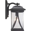Progress Lighting Abbott 1-Light Medium Wall Lantern in Antique Pewter with Seeded Glass Shade - 4 of 4
