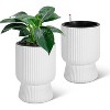 Tall Planters Set of 2,Large Planter for Outdoor Plants,Flower Pots with Water Level Monitor,for Patio,Porch,Living Room or Home Office,Planter - 2 of 4