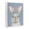 Stupell Industries Sweet Woodland Rabbit Framed Giclee Art - 2 of 4