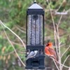 Nature's Way Bird Products Squirrel Shield Metal Squirrel Proof Advantage Cage Feeder 3.2 qt - 3 of 4