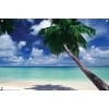 Trends International VIew from the Beach Unframed Wall Poster Prints - 4 of 4