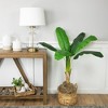 Northlight 4' Artificial Tropical Banana Tree in a Clay Pot - 2 of 4