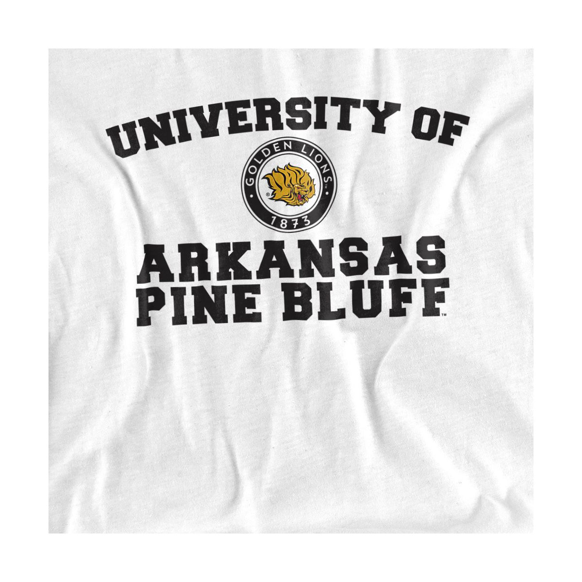 Men's University of Arkansas at Pine Bluff Official Circle Logo T-Shirt - thumbnail 10