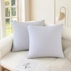 REGALWOVEN Geometric Pattern Soft Cozy Throw Pillow Covers for Living Room Sofa Home Decor 2 Pcs - 2 of 4