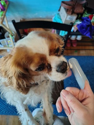 Guest review image 3 of 3, zoom in