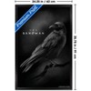 Trends International DC The Sandman (2022) - Matthew The Raven Framed Wall Poster Prints - 3 of 4