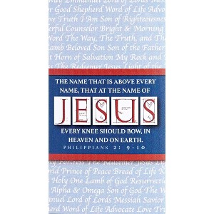 Dicksons MAG-1029 Name Above Every Name Blue and Red 5 x 3 Inch Vinyl Decorative Refrigerator Magnet - 1 of 2