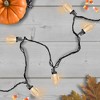 Northlight 25 Count Warm White LED C9 Christmas Lights, 16 ft Black Wire - 2 of 3
