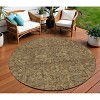 Brown And Taupe Floral Washable Indoor Outdoor Area Rug - 2 of 4