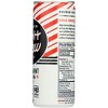 High Brew Coffee Peppermint Mocha Cold Brew Coffee  - Case of 12/8 fz - 4 of 4