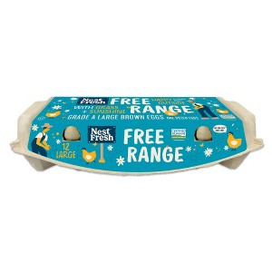 NestFresh Free Range Large Eggs - 24oz/12ct - 1 of 1