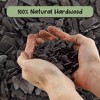 Soil Sunrise Horticultural Charcoal for Indoor Plants, Hardwood Soil Additive for Orchids, Terrariums, and Gardening - 4 of 4